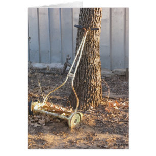 Tondeuse à gazon vintage