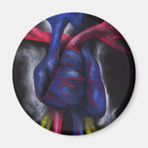 Töne einer blaues Herz-anatomischen menschliches Magnet
