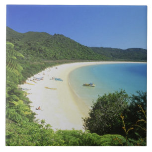 Tonga Bay, Abel Tasman NP, South Island, New Fliese