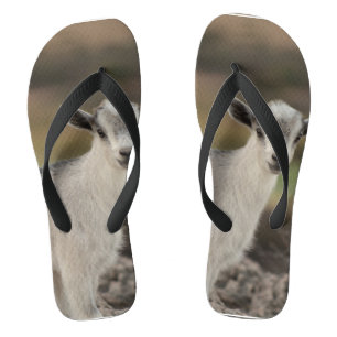 Tongs Adorable chèvre des enfants