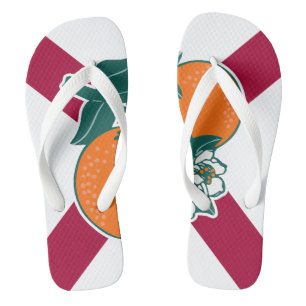 Tongs Afficher vos couleurs - Floride