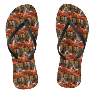Tongs Akita en automne Feuilles automne s'inspire