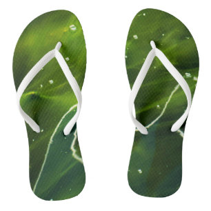 Tongs Algues vertes et eau ffcnm