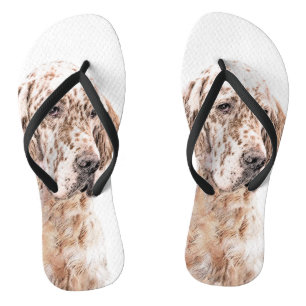 Tongs Anglais Setter Orange Belton Peinture Chien Art