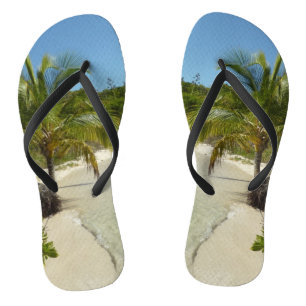 Tongs Antiguan Beach Beautiful Tropical Landscape