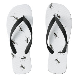 Tongs Ants (homonymie)