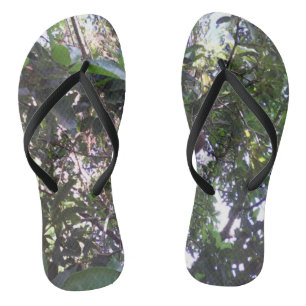 Tongs Arbre d'avocatier