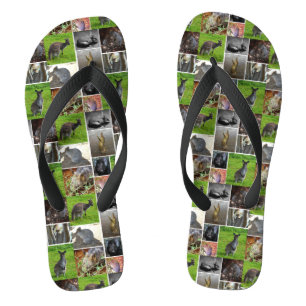 Tongs Australian Wildlife Collage,
