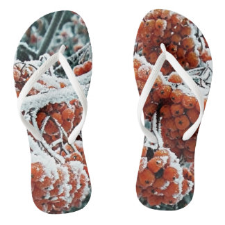 Tongs Baies d'hiver de rowan avec glace