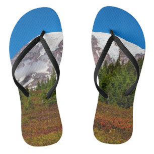 Tongs Bascules électroniques du mont Rainier