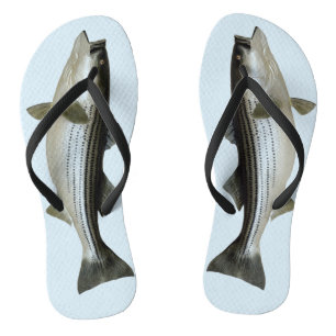 Tongs Basse rayée drôle pour Fisher