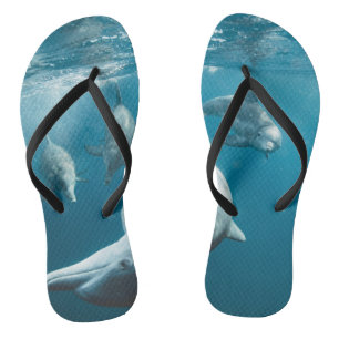 Tongs Beaux dauphins mignons