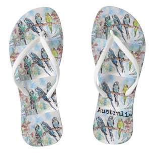 Tongs Blue Budgie Australian Bird Birds Budgies Thongs