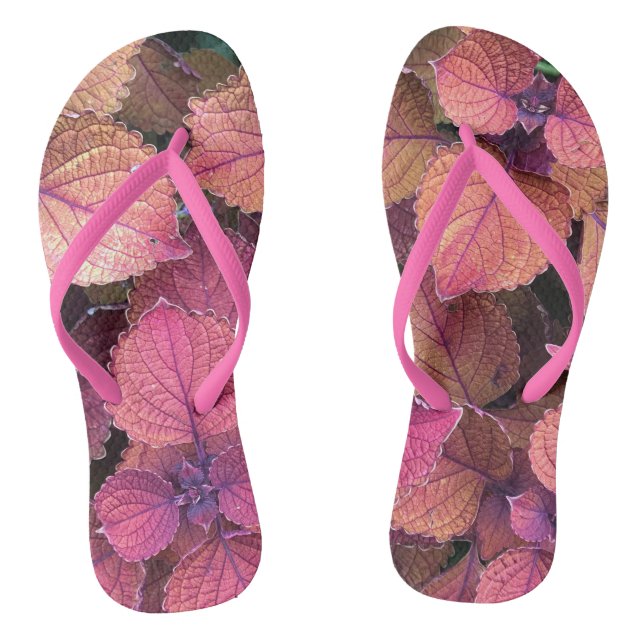 Tongs Bourgogne, rose, Feuilles de crème (Semelle)