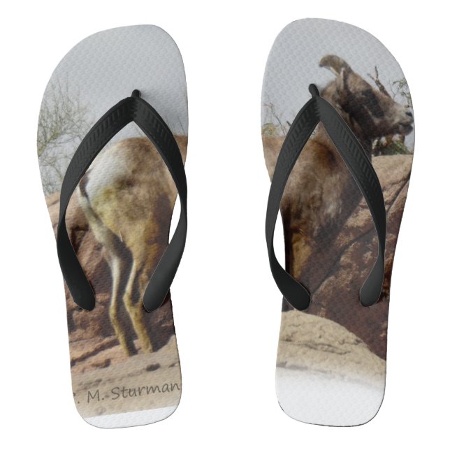 Tongs Chèvre de montagne de désert (Semelle)