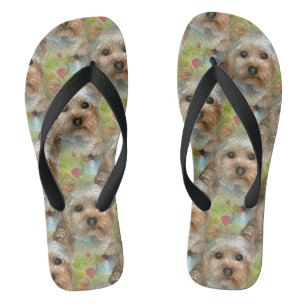 Tongs Chien 117 Yorkie