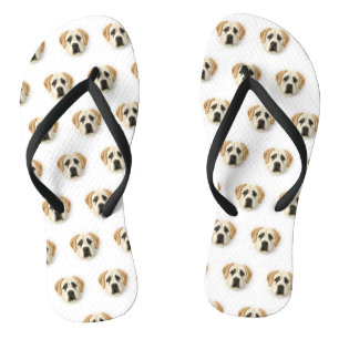 Tongs Chien berger anatolien 3D inspiré