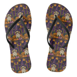 Tongs Chien Pékin Spooky Halloween Sorcière Et Citrouill