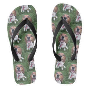 Tongs Chiot heureux de sourire de beagle de visage