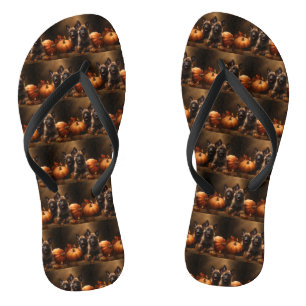 Tongs Chiots Berger Belge Délice d'Automne Citrouille