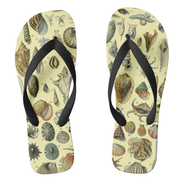 Tongs Coquillages de coquillages Mollusk Clam Élégant Ar (Semelle)