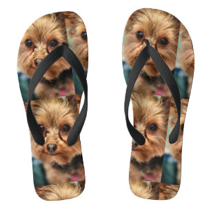 Tongs Cute