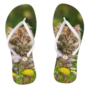 Tongs Cute Maine Coon Kitten Chat dans la prairie fleuri