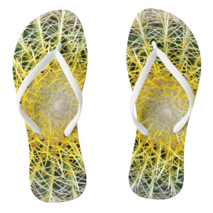 Tongs Drôle inconfortable Globe Cactus Photo botanique