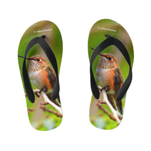 Tongs Enfants Colibri roux mignon sur une branche de prunier