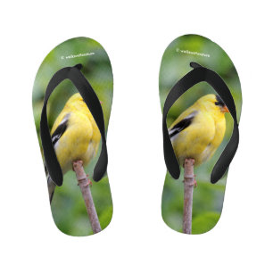 Tongs Enfants Goldfinch américain masculin sur le bambou