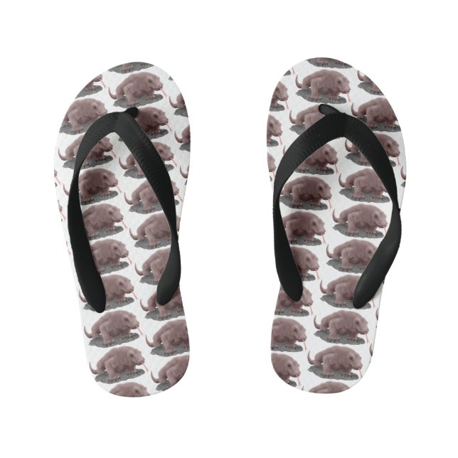 Tongs Enfants Illustration du dragon de Komodo (Semelle)