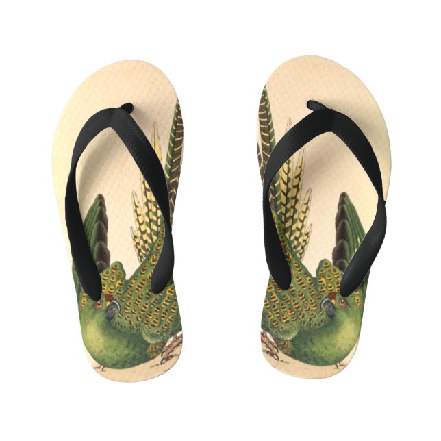 Tongs Enfants James Sowerby Parrot terrestre, Psittacus terrestr (Semelle)