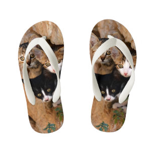 Tongs Enfants Photo drôle de trois de chat visages curieux