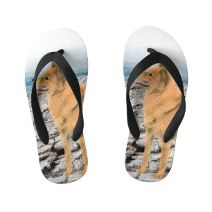 Tongs Enfants Spitz finlandais à Seashore Peinture - Chien Art