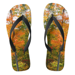 Tongs Érables en automne Photographie de la nature