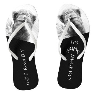 Tongs Fantaisie Camel Hump Day