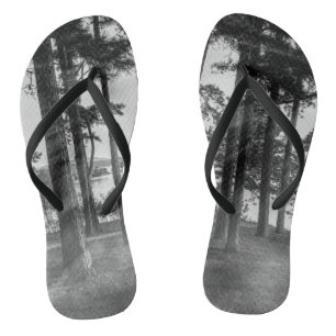 Tongs Foggy Arbres À Niveaux De Gris De Table Rock