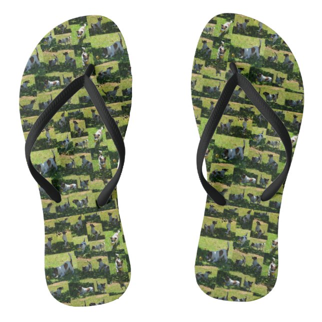 Tongs Fox Terrier Le long jour dur Photo Collage, (Semelle)