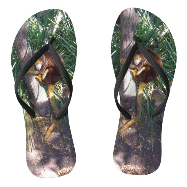Tongs "Haut dans les arbres : Un arbre australien grimpe (Semelle)