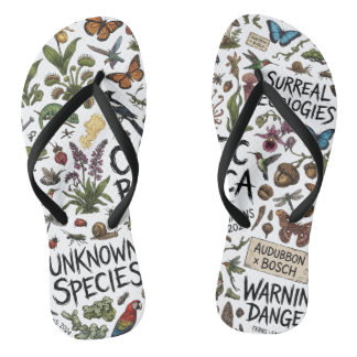 Tongs Illustration Pr de Botanica Chaotique Écologies Su