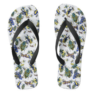 Tongs Insectes modernes tendance pour les amateurs d'Ent