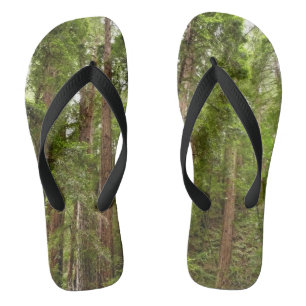 Tongs Jusqu'aux séquoias I à Muir Woods National Monumen
