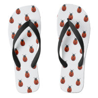 Ladybugs