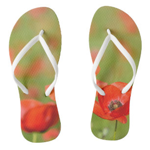 Tongs Les pavots dans un champ de pavot