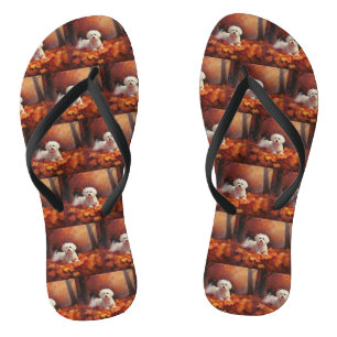 Tongs Maltais en automne Feuilles automne Inspiration
