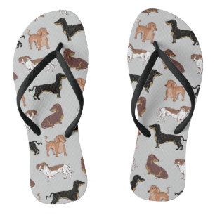 Tongs Motif chien Dachshund