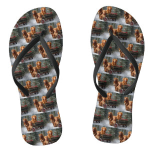 Tongs Nouvelle-Écosse Duck Toller Retriever Snowden