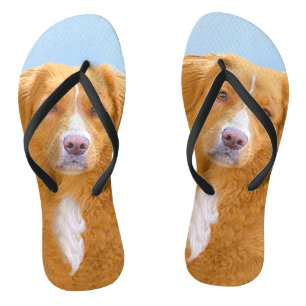 Tongs Nouvelle-Écosse Peinture de chien pour ramper le c