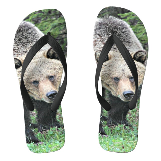 Tongs Ours Grizzli Marcher Dans Les Bois (Semelle)