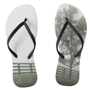 Tongs Ozarks Country Fog